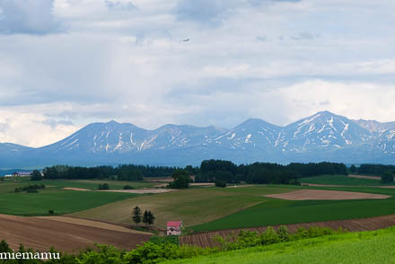 d0340565_20332726.jpg