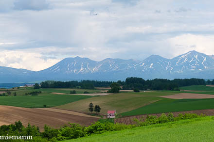 d0340565_20333540.jpg