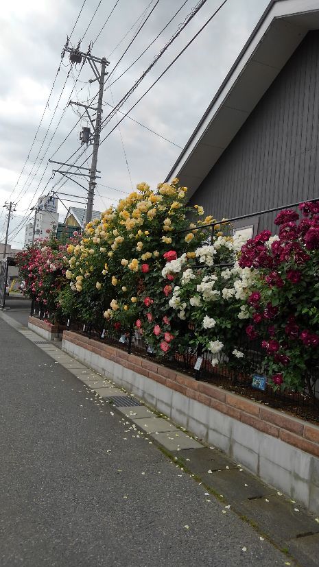 e0408668_20103537.jpg
