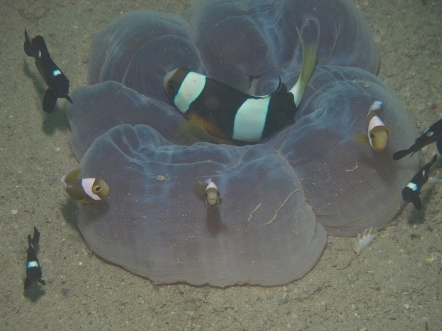 f0200373_00311136.jpg