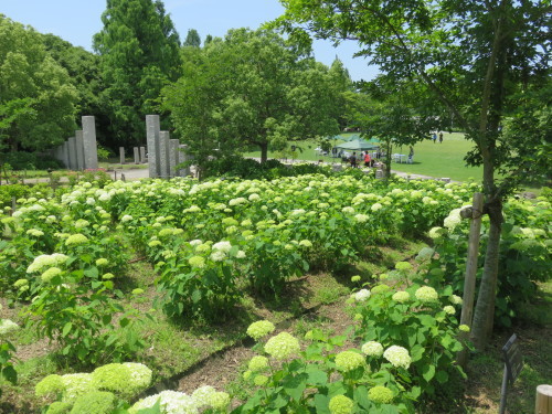 f0259373_11490717.jpg