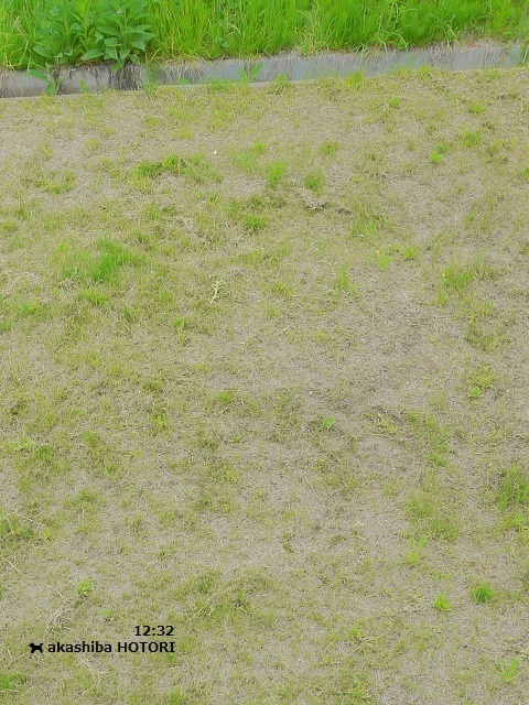 f0150377_18395405.jpg