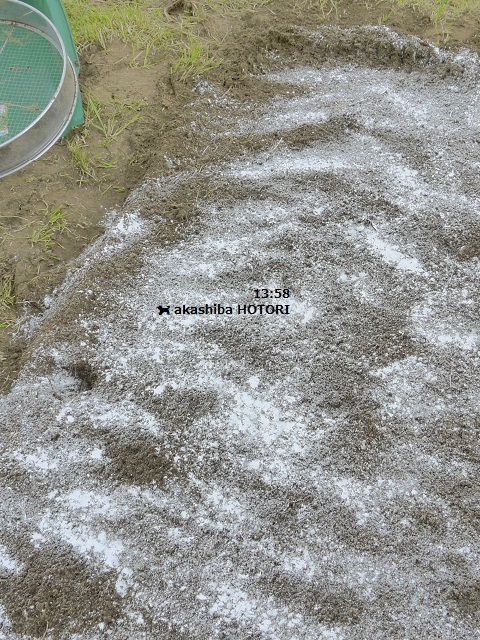 f0150377_18413033.jpg