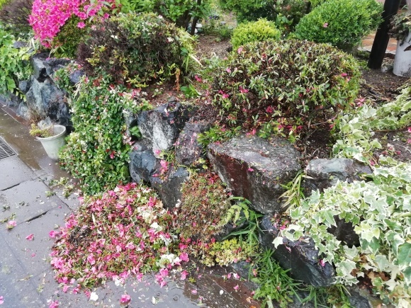 c0212083_13511847.jpg