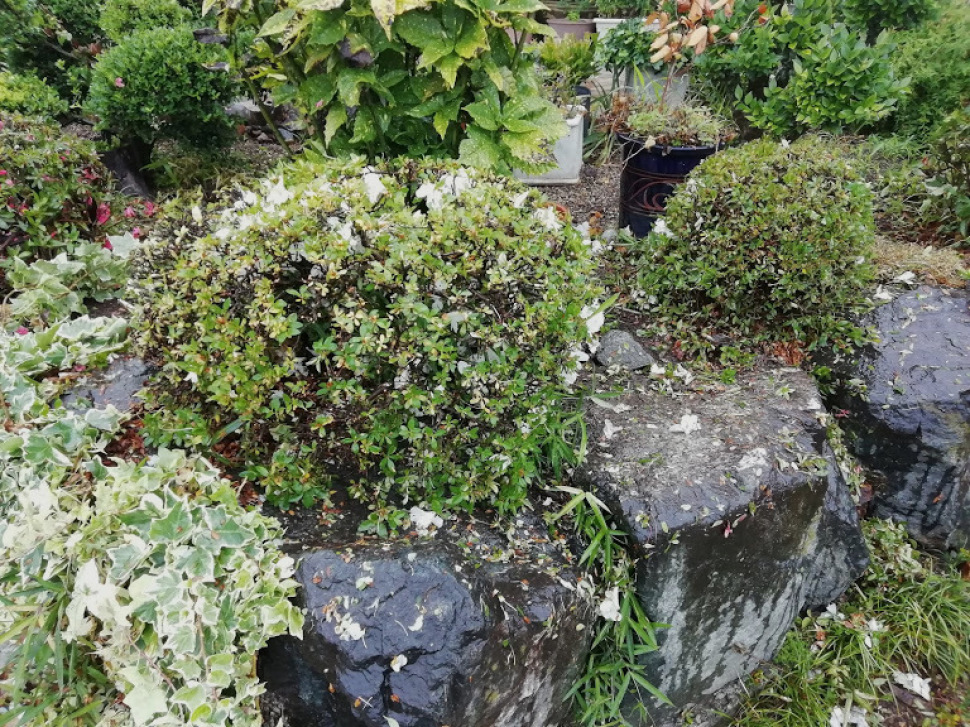 c0212083_15410442.jpg