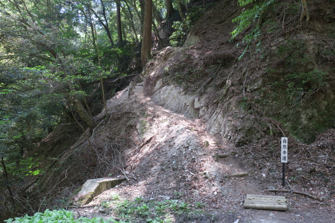 切って取るしかない選択肢。_e0149587_04223693.jpg