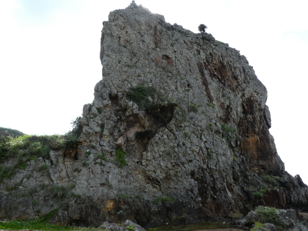 c0018489_10065470.jpg