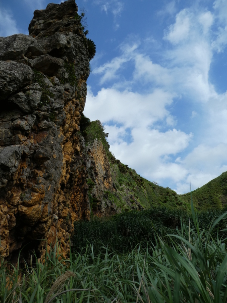 c0018489_10070633.jpg