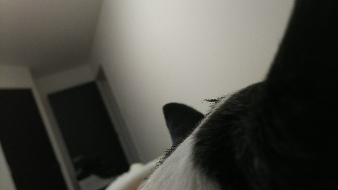 妖怪アンテナ(○_○)!!_c0109891_07304757.jpg