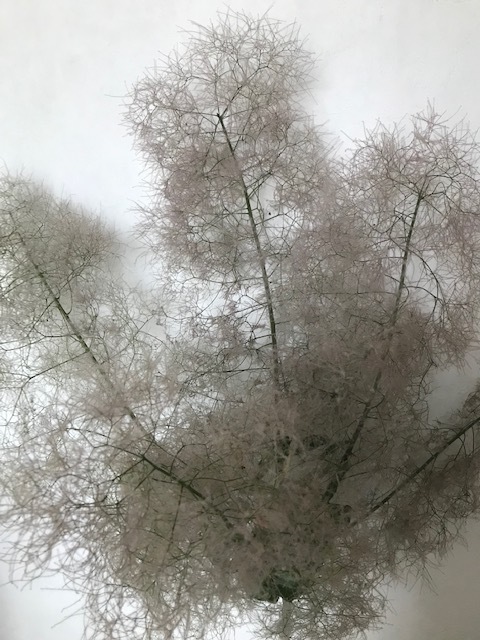 f0204295_14314229.jpg
