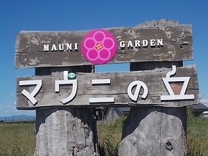 e0180796_04491656.jpg