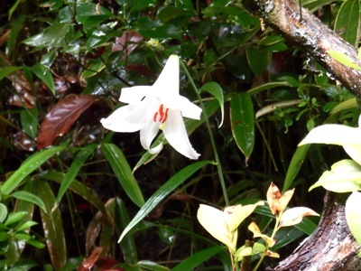 a0236300_10553615.jpg