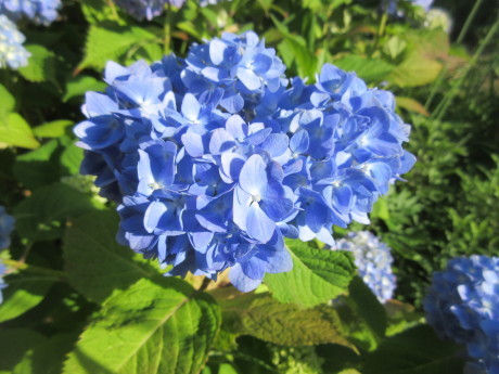 a0203003_20042180.jpg