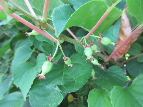 a0203003_20044266.jpg