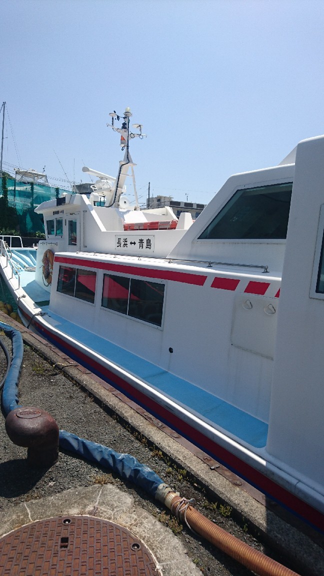 包丁が青島で興奮。_b0334704_16051452.jpg