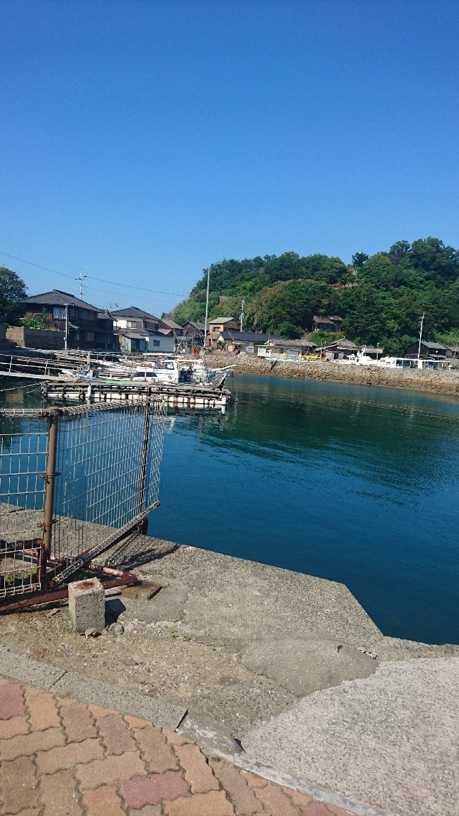 包丁が青島で興奮。_b0334704_16060216.jpg