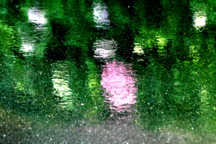 d0140806_11484988.jpg