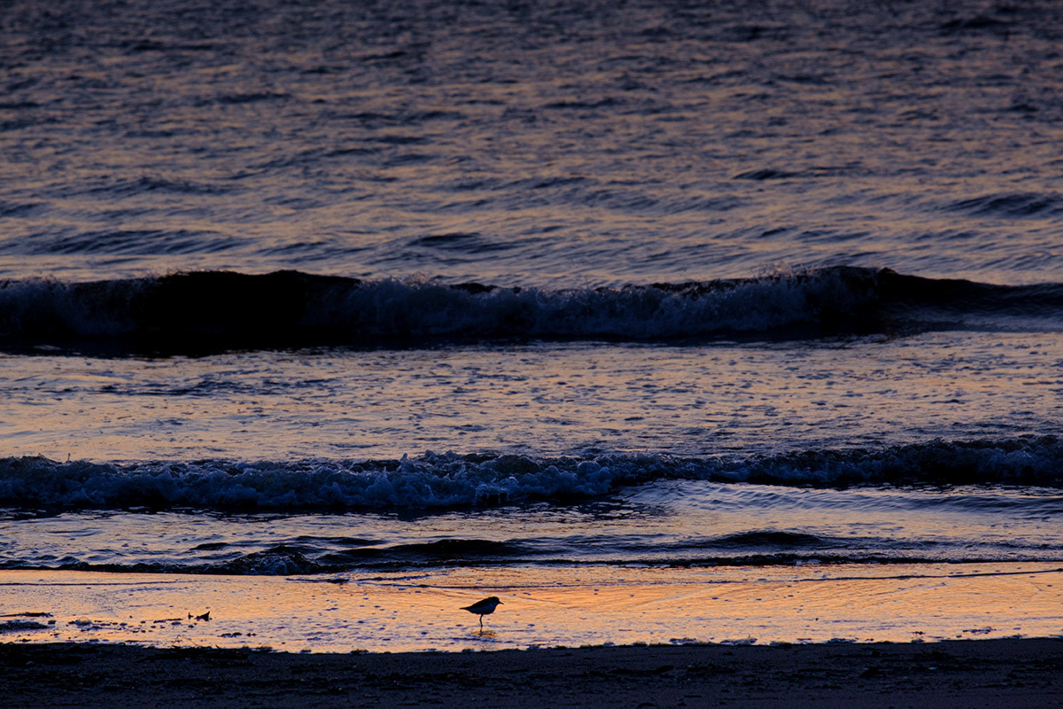 海辺で on the sea shore #FUJIXT30_c0065410_22504627.jpg