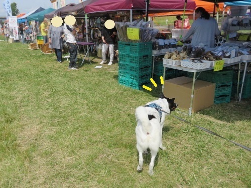 c0084117_18084821.jpg