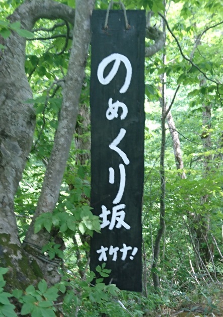 d0378819_19572503.jpg