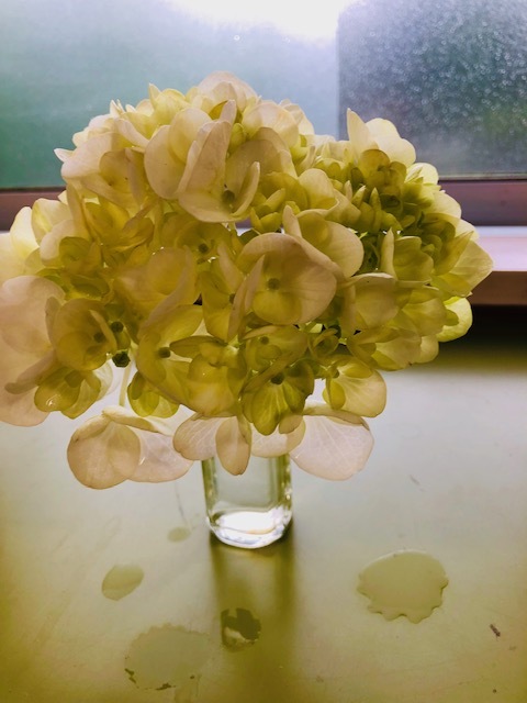 c0038722_13311711.jpg