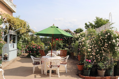 GREEN MAN’S GARDEN(弘前市)*2019.06.09_b0147224_0453385.jpg