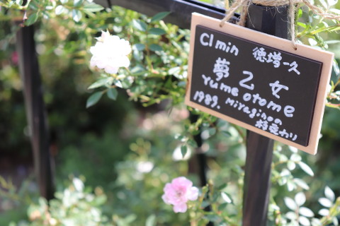 GREEN MAN’S GARDEN(弘前市)*2019.06.09_b0147224_0491356.jpg