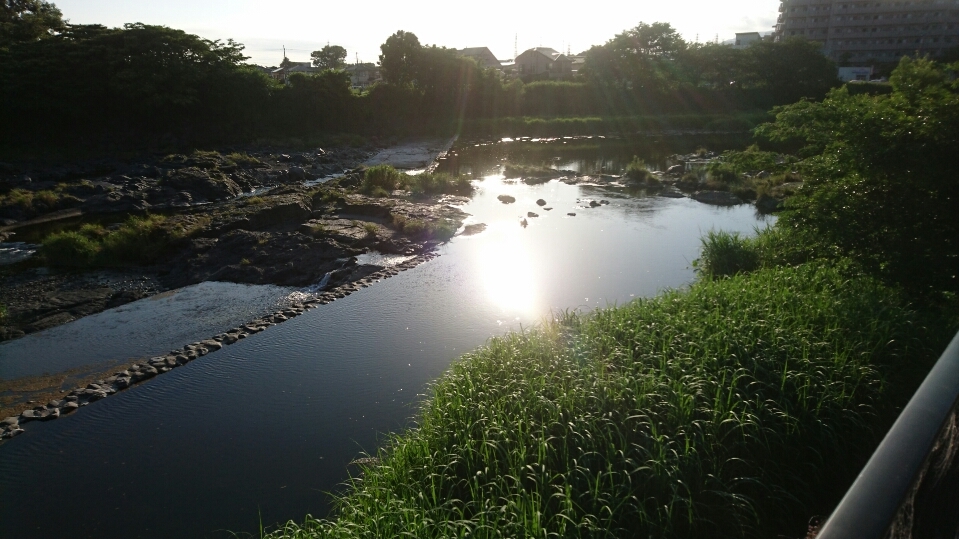 三島の本宿用水_d0179225_07281732.jpg