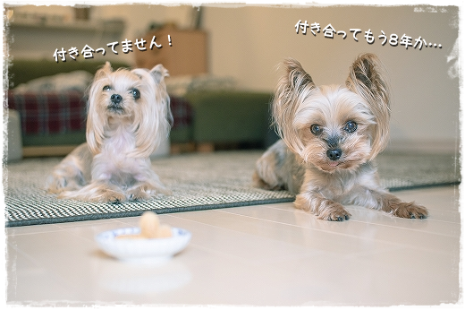 d0179828_10145900.png