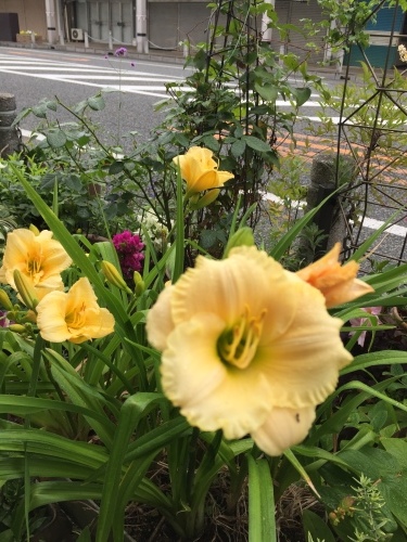 b0182530_12072634.jpeg
