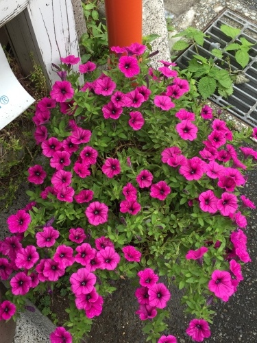 b0182530_12104103.jpeg
