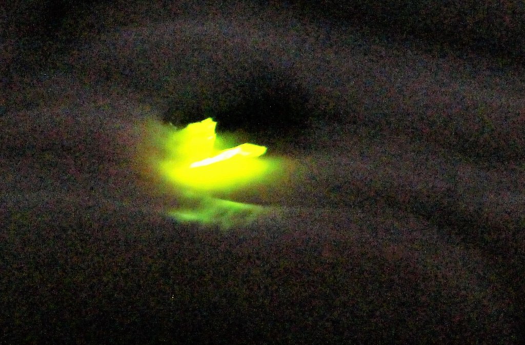 c0355331_10023271.jpg