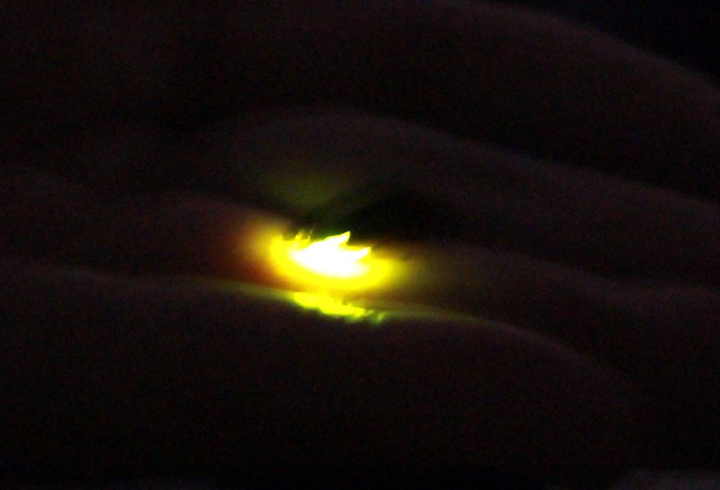 c0355331_10054482.jpg