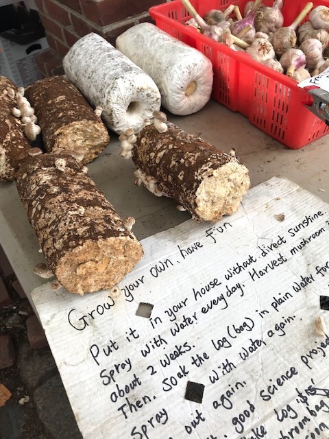 d0269832_06104006.jpeg