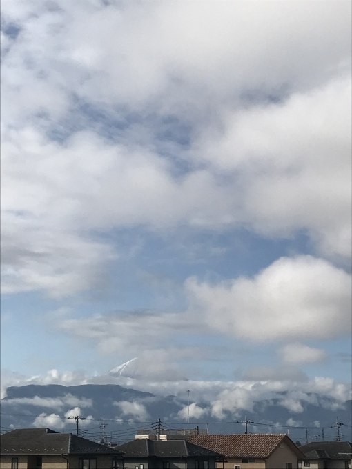 f0161834_07460876.jpeg