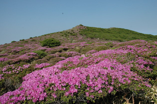 e0272335_19224621.jpg