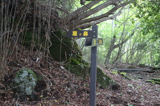 e0272335_1929889.jpg