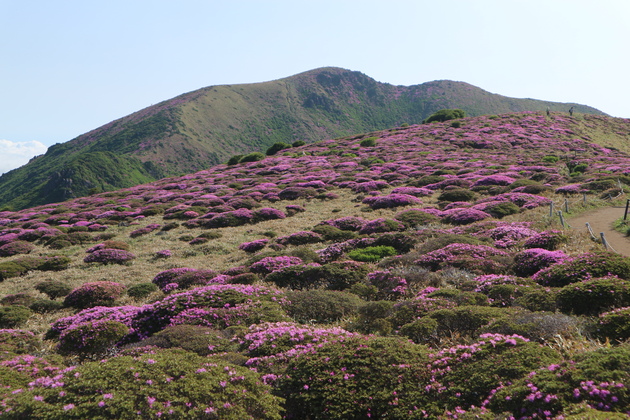 e0272335_2011188.jpg