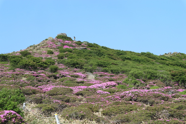 e0272335_20125866.jpg
