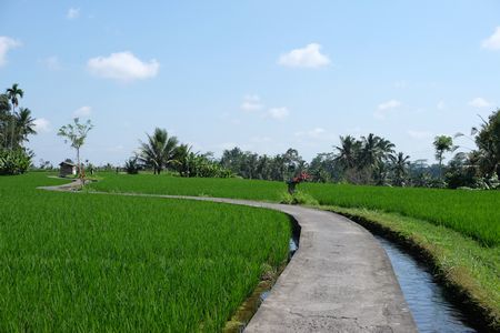 c0148238_21120327.jpg