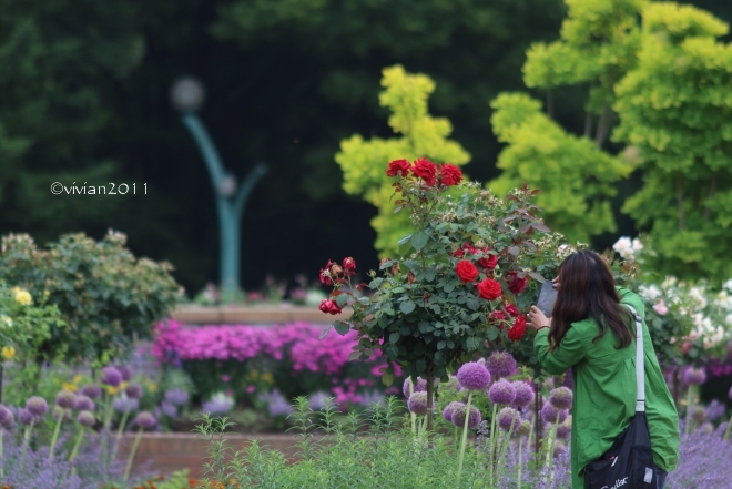 超!初心者さんのための撮影会 in 壬生わんぱく公園_e0227942_20145932.jpg