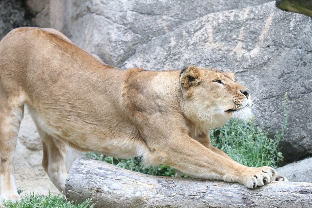 e0128144_05034967.jpg