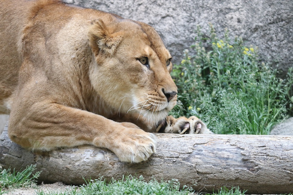 e0128144_05035201.jpg