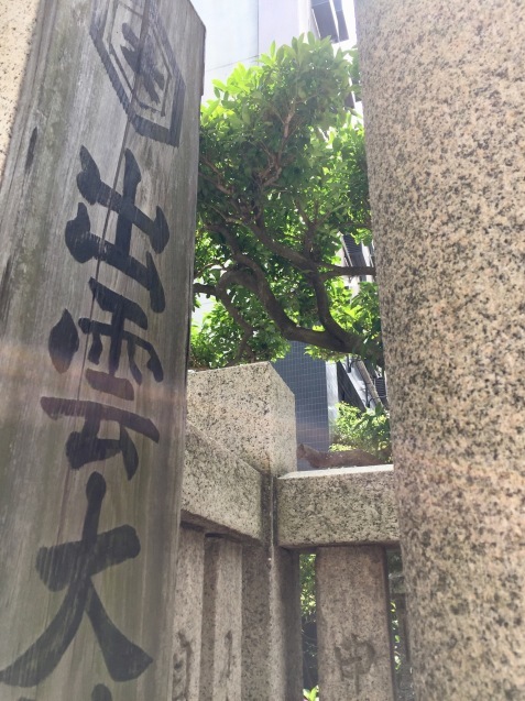 d0145345_19593926.jpeg