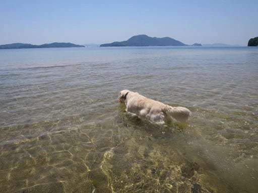 a0264649_11160172.jpeg