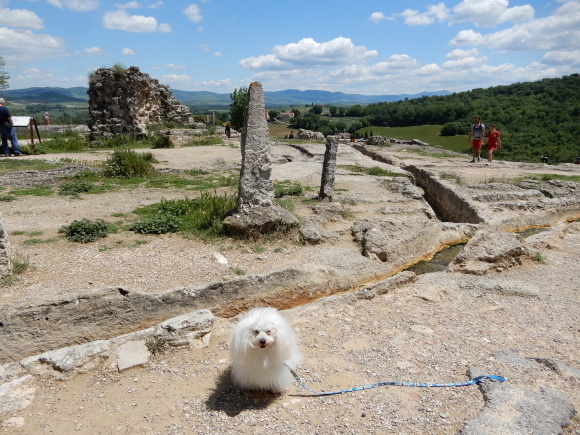 小さな温泉地へ♪Bagno Vignoni(バーニョ・ビニョーニ）_d0118050_19331150.jpg