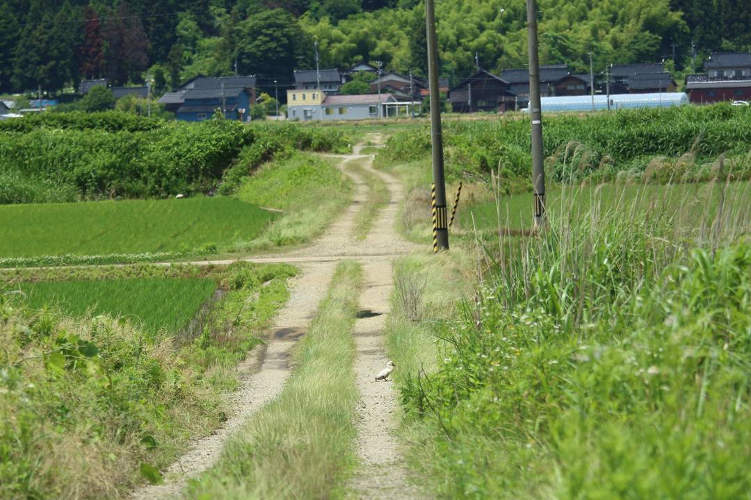 e0403850_23041138.jpg