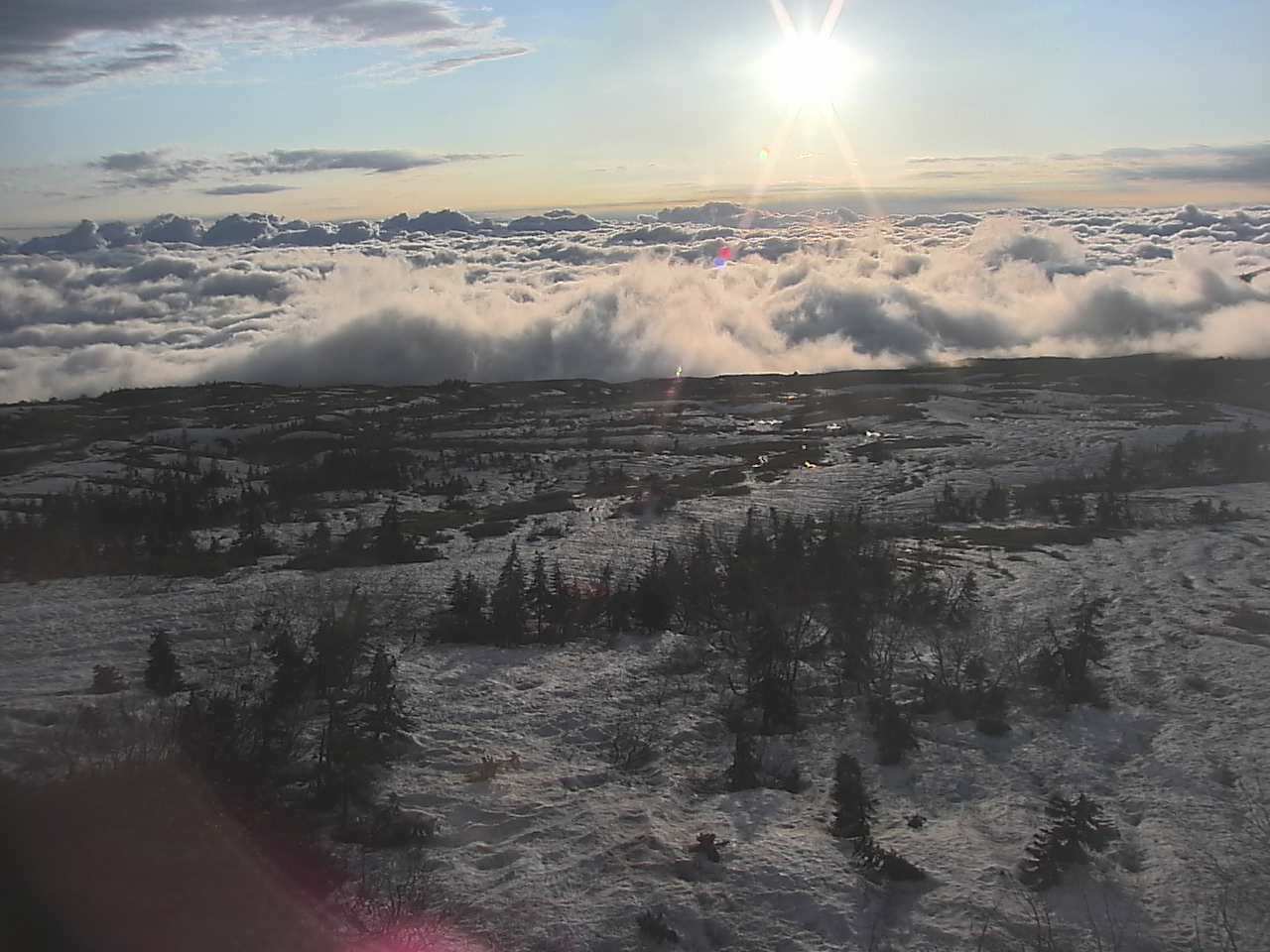 c0073152_23121533.jpg