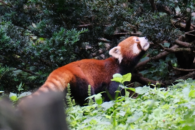 d0356852_21551044.jpg
