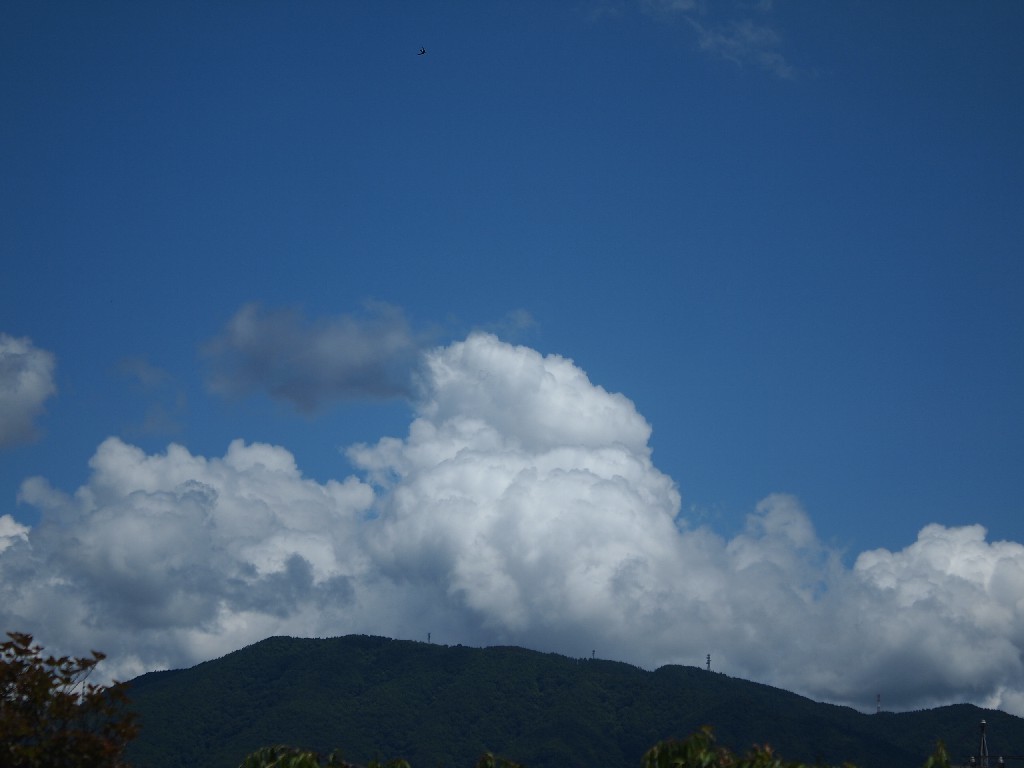 b0319255_22172771.jpg
